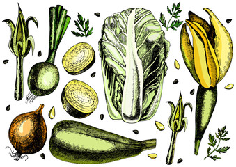 Handmade work - set vegetables. Vector illustration