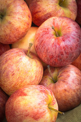 Fototapeta na wymiar Group of organic apples