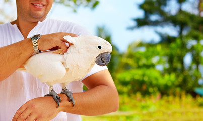 This is Molly. She likes massage. Cockatoo parrot