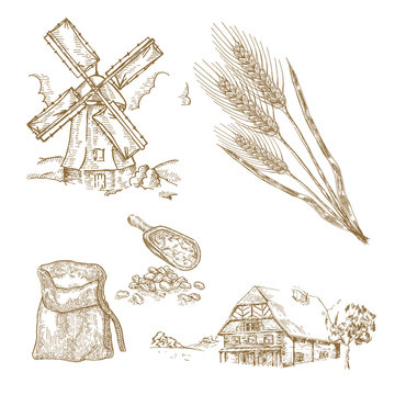 Cereals set. Hand drawn illustration windmill, wheat, farm house