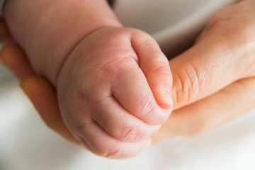 Hand newborn