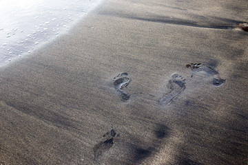 Wet footsteps on the sand