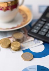 One euro coin and stacks of other on paper sheets