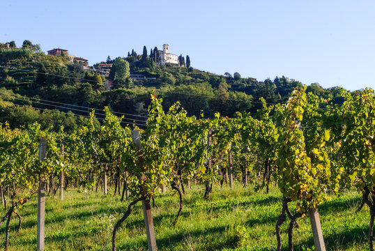 montevecchia