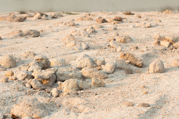 loosened sand close-up background