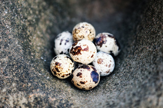 Eggs on the stone surface