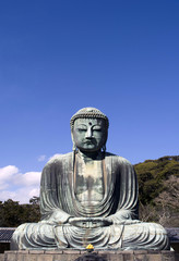 Daibutsu Portrait