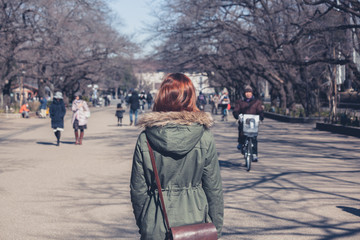 Naklejka premium Woman walking in Ueno Park