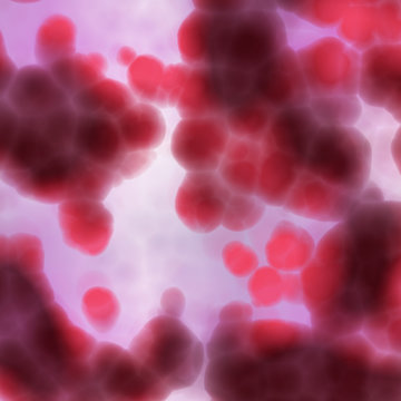 view a microscope of human cells