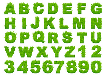 Green grass alphabet with letters and numbers