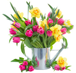 bunch of  tulips and daffodils in vase