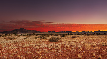 Kalahari Desert, Namibia