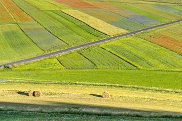 Piano Grande di Castelluccio (Italy)