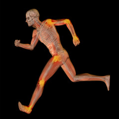 3D human man anatomy with articular pain