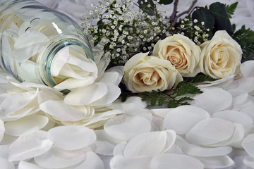 Feminine White Roses