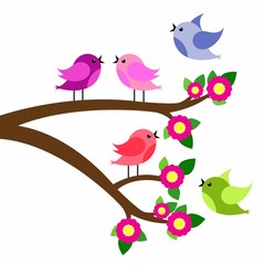 birds colorful and birdhouse on tree branches