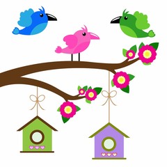 birds colorful and birdhouse on tree branches