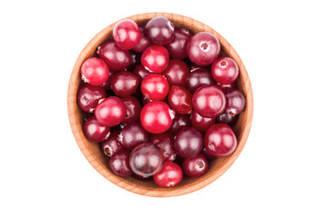 Cranberries in bowl