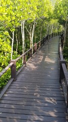Fototapeta na wymiar Wooden bridge in mangrove national park in Thailand