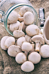 Fresh mushrooms champignon