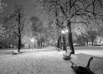 Winter snow park