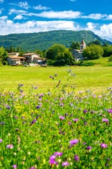 Fototapeta na wymiar Magnifique village en France