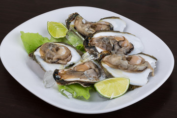 Fresh oyster