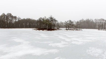 Fototapeta na wymiar winter rural scene with fog and white fields