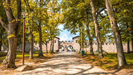 Römerkastell Saalburg, Bad Homburg vor der Höhe