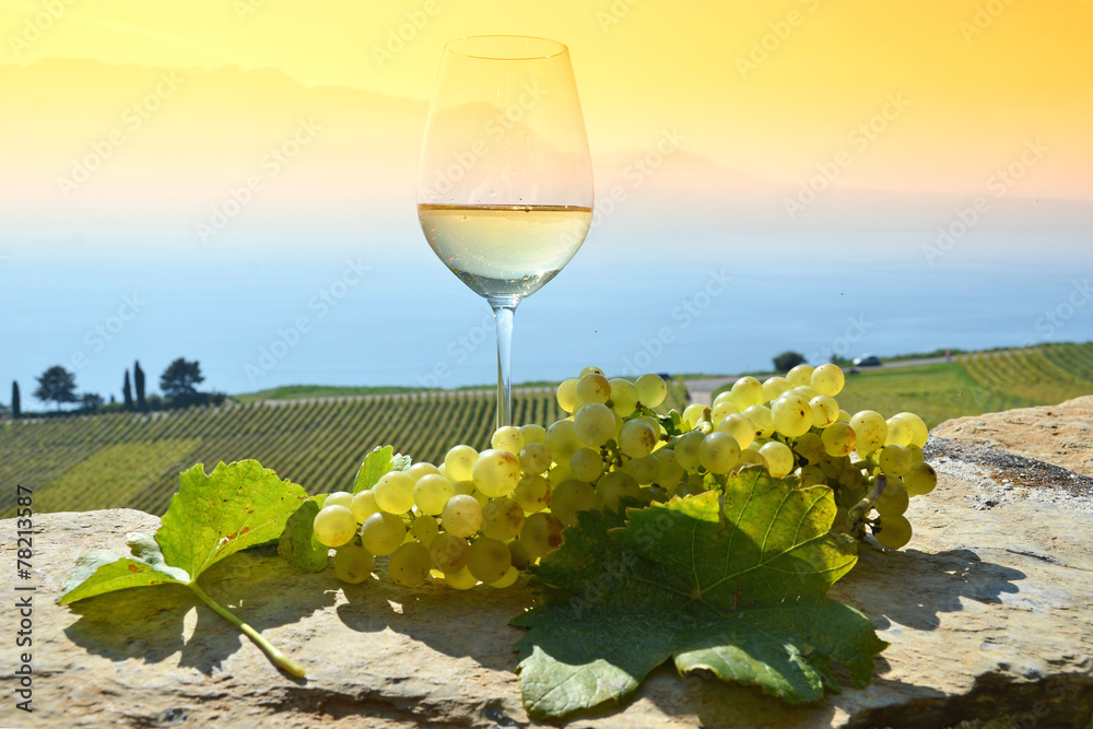 Wall mural wine and grapes. lavaux, switzerland