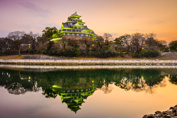 Fototapeta na wymiar Okayama Castle in Okayama, Japan