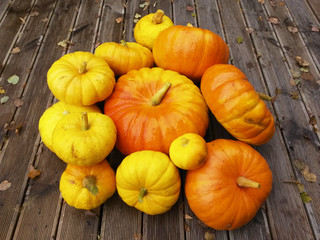 Pumpkin