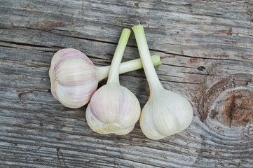Fresh garlic close-up
