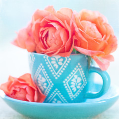 Beautiful tea roses in a blue cup on a table.