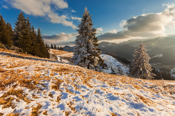 Beautiful winter landscape with snow covered trees