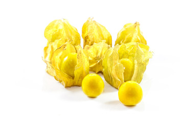 Cape gooseberry on white background