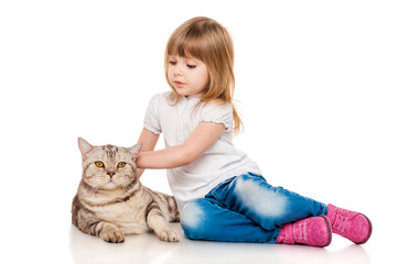 Little girl playing with a British cat