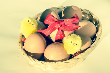 eggs in basket with ribbon and chicken
