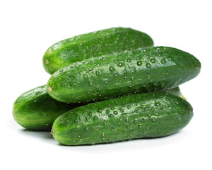 Fresh green cucumbers
