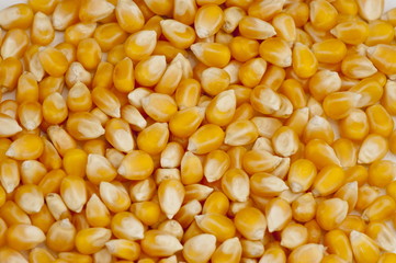 Corn