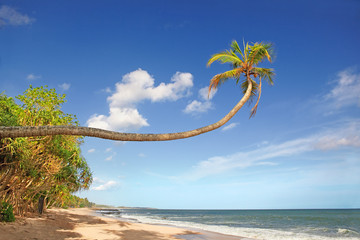 Paradise island