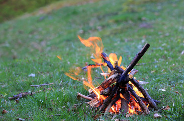 campfire on meadow