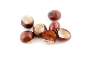 Frucht bzw. Samen der Gewöhnlichen Rosskastanie
