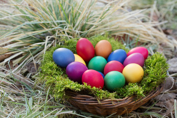 Colored eggs in a basket