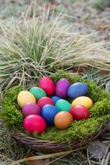 Colored eggs in a basket