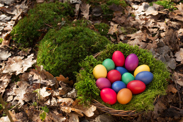 Colored eggs in a basket