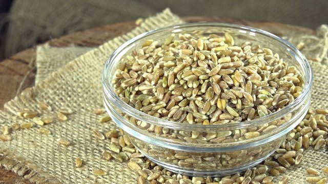 Heap of Green Spelt (not loopable)