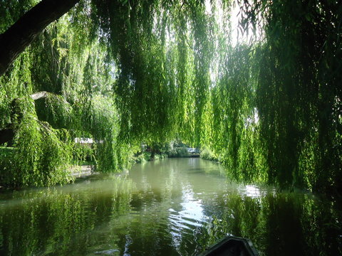 Marais De Poitevin