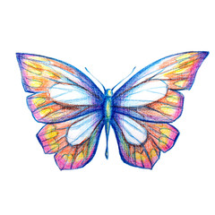 butterflies design