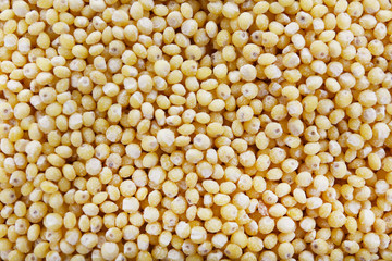 Millet as background